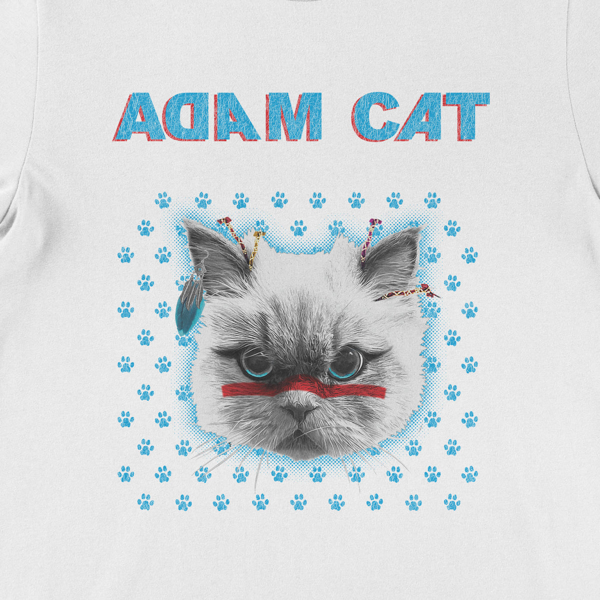 adam-cat-white-square-bella-